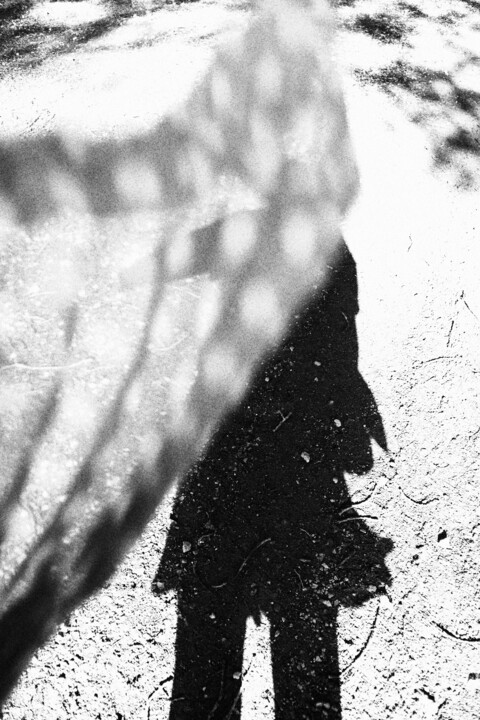 Fotografie mit dem Titel "Shadow in the wind…" von Myrthe Ciancia, Original-Kunstwerk, Digitale Fotografie