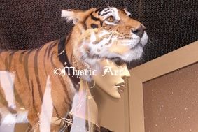 Photography titled "Lady and Tiger" by Surreal Art Mystic-Photos, Original Artwork