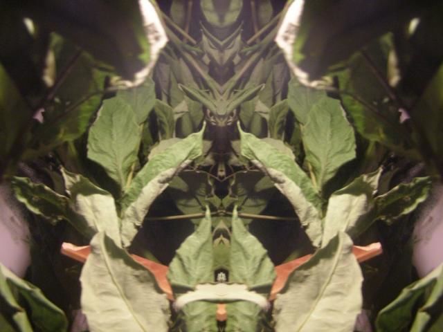 Digital Arts titled "THE SPIRIT OF PLANTS" by Star Barefoot Walker, Original Art,