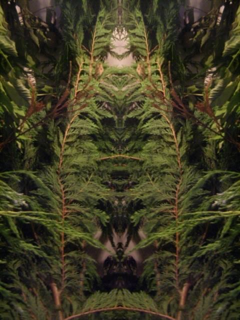 Digital Arts titled "FOR THE LOVE OF PLA…" by Star Barefoot Walker, Original Art, Other