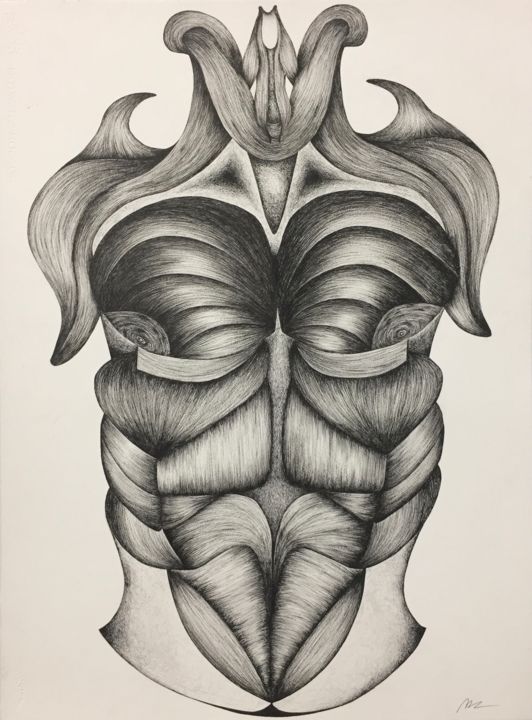 "muscle enhancement" başlıklı Resim Melissa Stolk tarafından, Orijinal sanat, Mürekkep