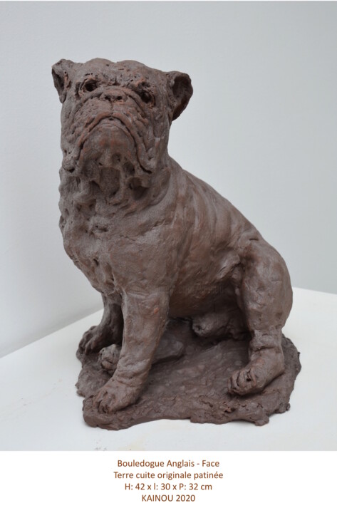 Sculpture intitulée "Bouledogue Anglais" par Nacera Kaïnou, Œuvre d'art originale, Terre cuite