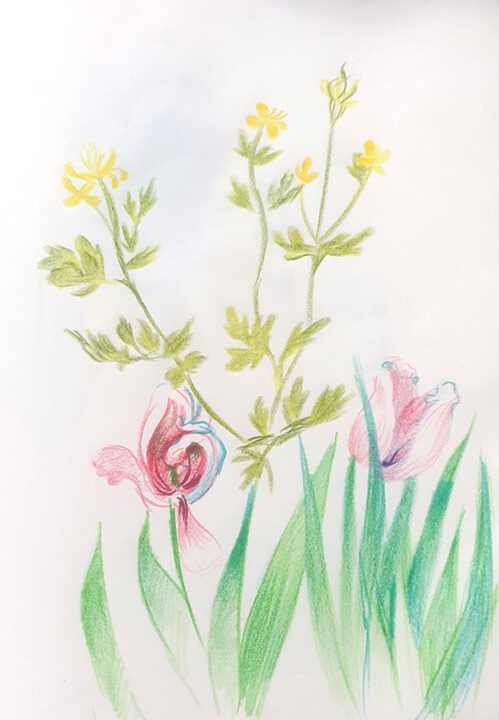 Drawing titled "Fleurs" by Nadège Lafon, Original Artwork, Pencil