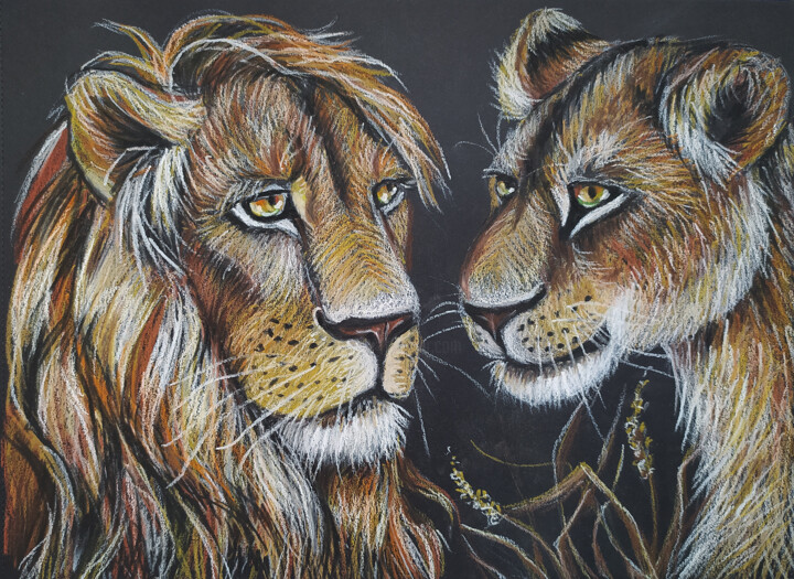 The mane event - lion in soft pastels on black paper