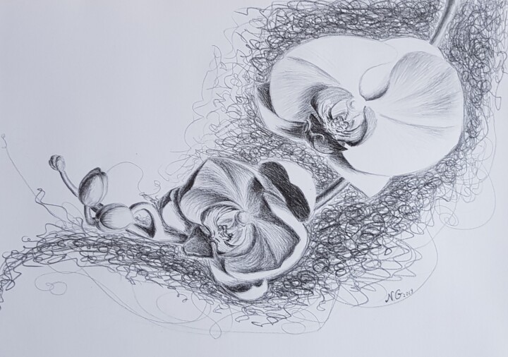 제목이 "Архидеи"인 그림 Надежда Потехина로, 원작, 연필