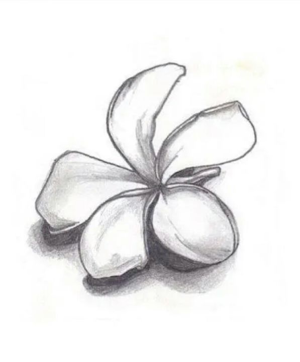 Dibujo titulada "Flower" por Nadha, Obra de arte original, Tinta