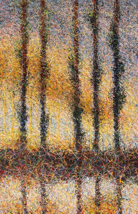 Картина под названием "Poplars trees by th…" - Nadiia Antoniuk, Подлинное произведение искусства, Акрил