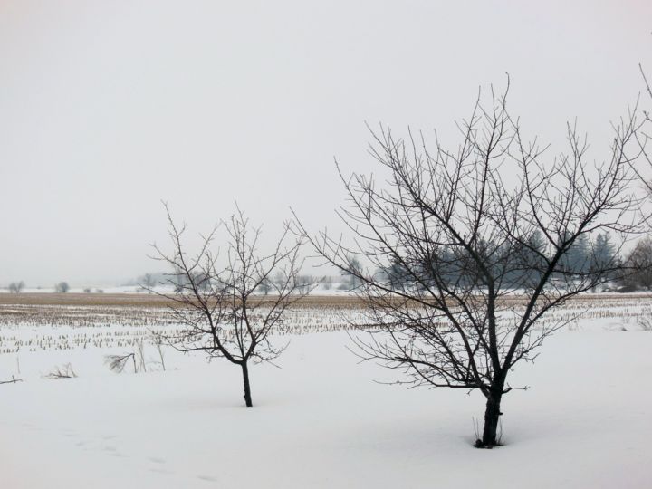 Fotografia intitolato "Rural bleakness" da Nadine Mitchell, Opera d'arte originale