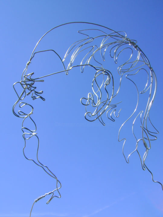 Sculpture titled ""trombine anonyme 1"" by Nadine Trescartes (fildefériste), Original Artwork, Metals