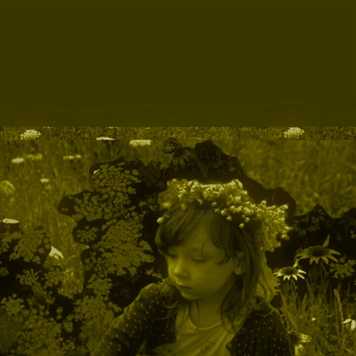 Arts numériques intitulée "Forêt, Forêt Verte…" par Nana Plamadeala-Kiritchenko, Œuvre d'art originale, Photo montage