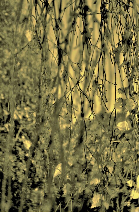 Photographie intitulée "Forêt, Forêt Verte…" par Nana Plamadeala-Kiritchenko, Œuvre d'art originale, Photographie manipulée