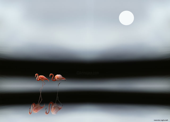 Arte digital titulada "flamingos are every…" por Narendraraghunath, Obra de arte original