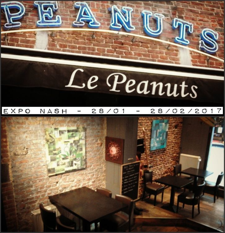 Collages, papiers, exposition, brasserie, Namur, Nash