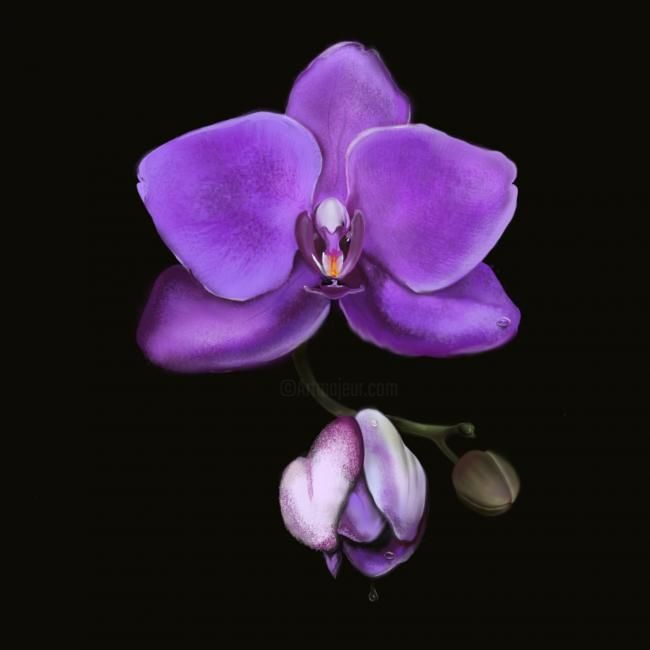 Arts numériques intitulée "Орхидея" par Anastasiya Smichenko, Œuvre d'art originale
