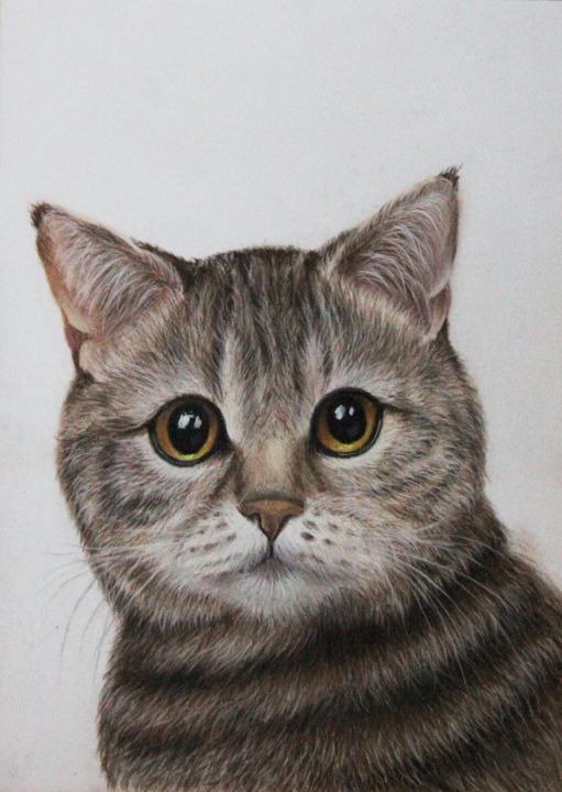 Dibujo titulada "the cat" por Nata New, Obra de arte original, Pastel