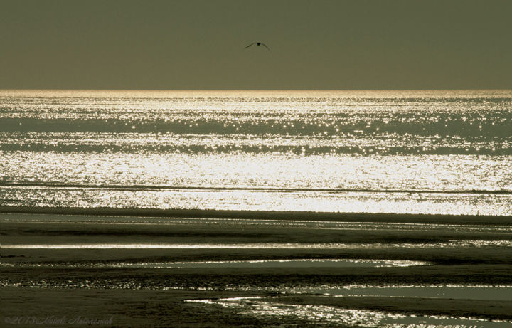 Fotografía titulada "Saturnian Sea" por Natali Antonovich, Obra de arte original, Fotografía digital