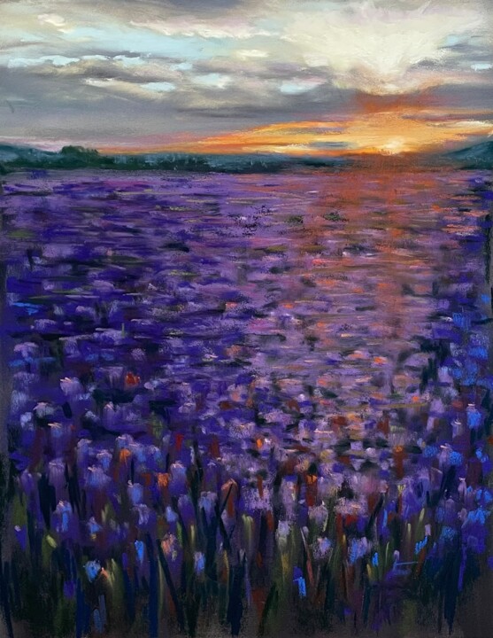 Pintura titulada "Field of irises. Pa…" por Natalia Balashova. Pastelist., Obra de arte original, Pastel