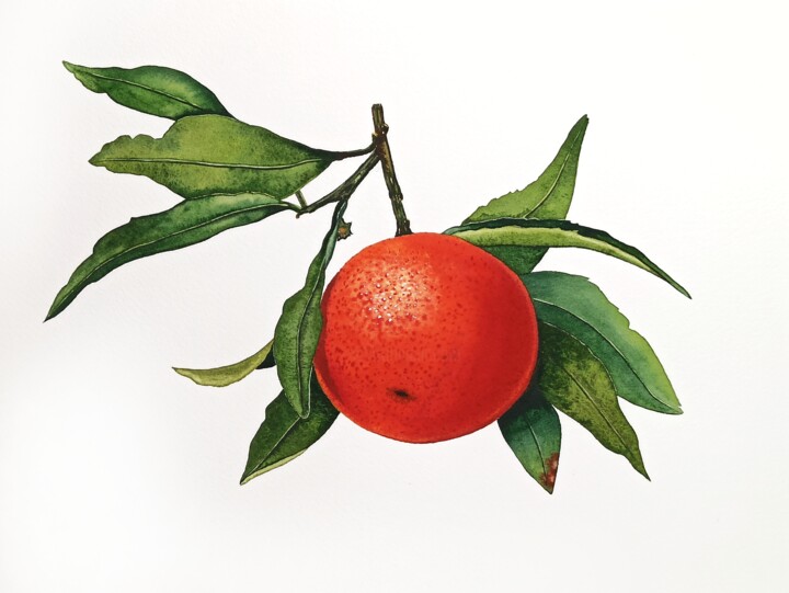 Pittura intitolato "Tangerine holiday" da Natalia Buhaienko, Opera d'arte originale, Acquarello