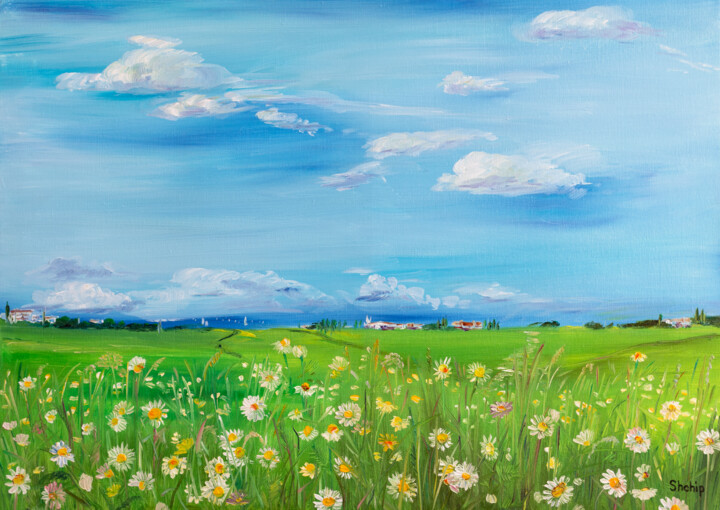 Painting titled "Daisy Field" by Natalia Shchipakina, Original Artwork, Oil Mounted on Wood Stretcher frame
