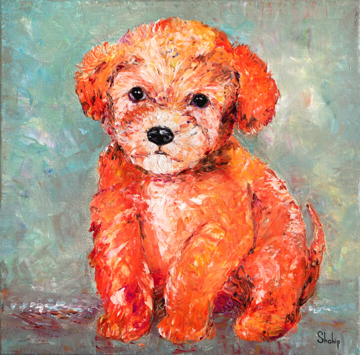 Painting titled "Toy Poodle" by Natalia Shchipakina, Original Artwork, Oil Mounted on Wood Stretcher frame
