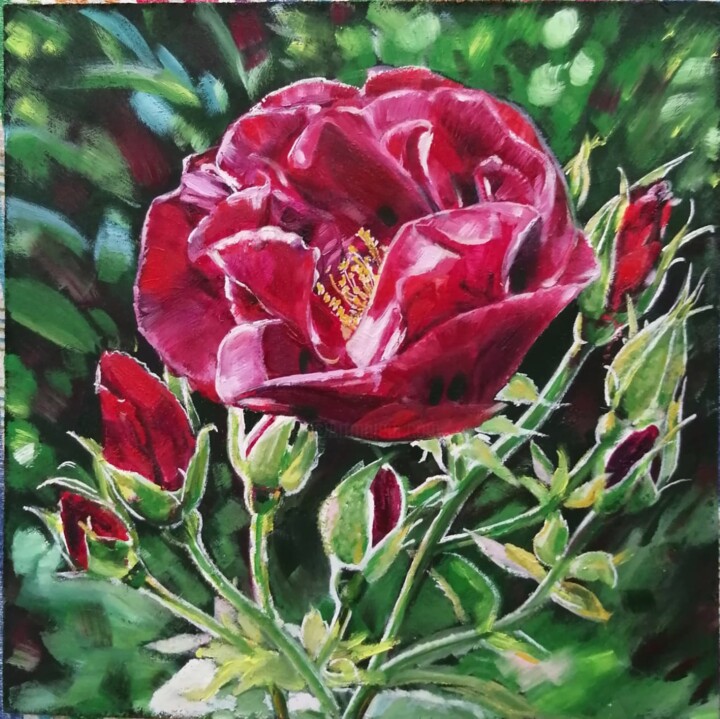 Peinture intitulée "crimson rose" par Natalia Shevkunova, Œuvre d'art originale, Huile