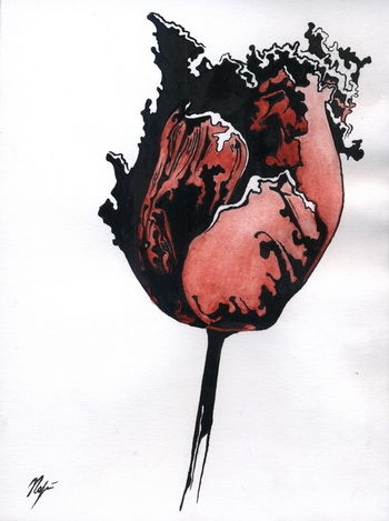 Dessin intitulée "The Tulip" par Nataliya Porhun, Œuvre d'art originale, Encre
