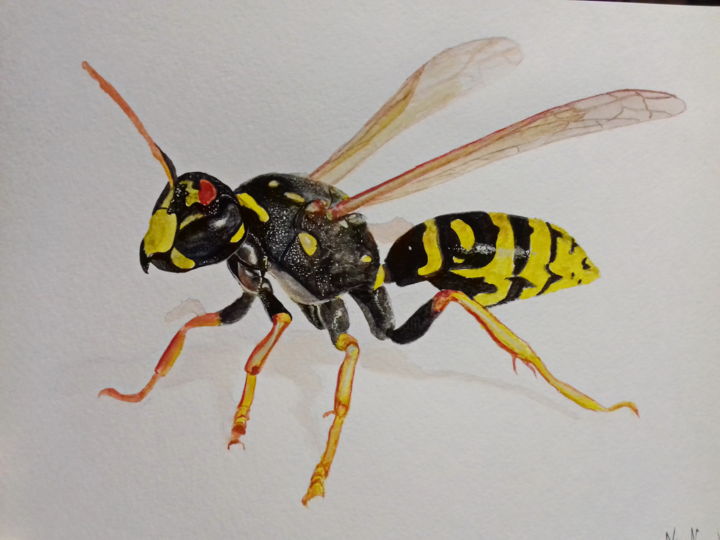 Pittura intitolato "Wasp watercolor ori…" da Nata Naz, Opera d'arte originale, Acquarello