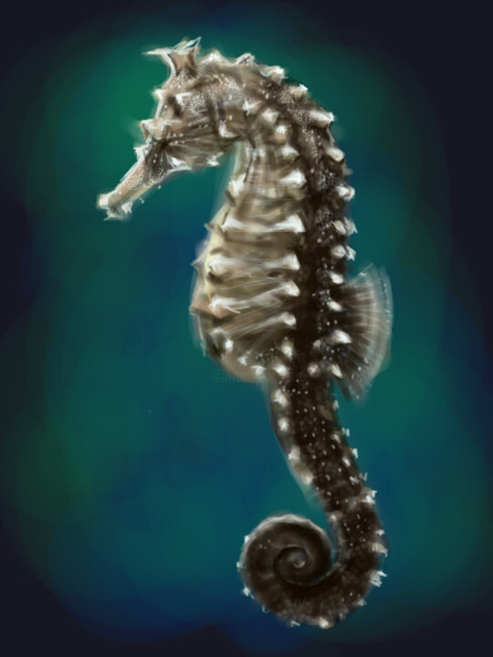 Digital Arts titled "Seahorse. Hyppocamp…" by Natalia Protin, Original Artwork, 2D Digital Work