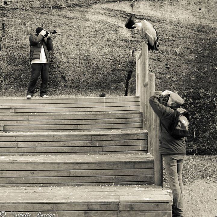 Fotografía titulada "Shooting" por Nathalie Bardyn, Obra de arte original