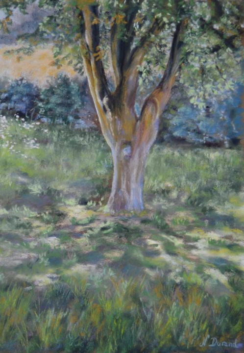 Painting titled "Au pied de mon arbre" by Nathalie Durand (Ndpastelart), Original Artwork, Pastel