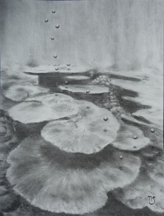 Dessin intitulée "Bulles de corail" par Nathalie Setea, Œuvre d'art originale, Fusain