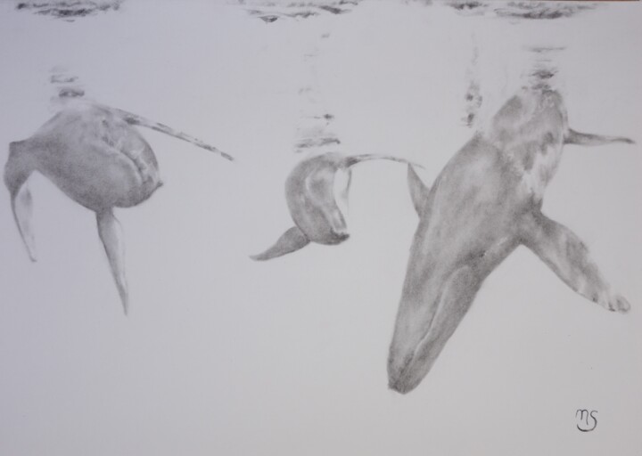 Tekening getiteld "Trois baleines" door Nathalie Setea, Origineel Kunstwerk, Houtskool