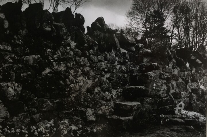 Fotografía titulada "Cork countryside 3" por Nathalie Simon, Obra de arte original, Fotografía analógica Montado en Cartulina
