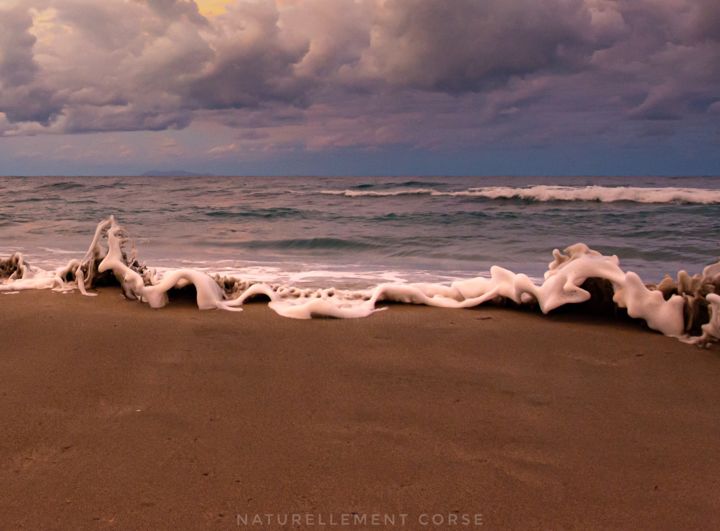 Fotografia zatytułowany „Dentelle de mer” autorstwa Naturellement Corse, Oryginalna praca, Fotografia cyfrowa