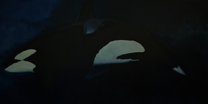 绘画 标题为“Killer whale” 由Nazar Bochkor, 原创艺术品, 油