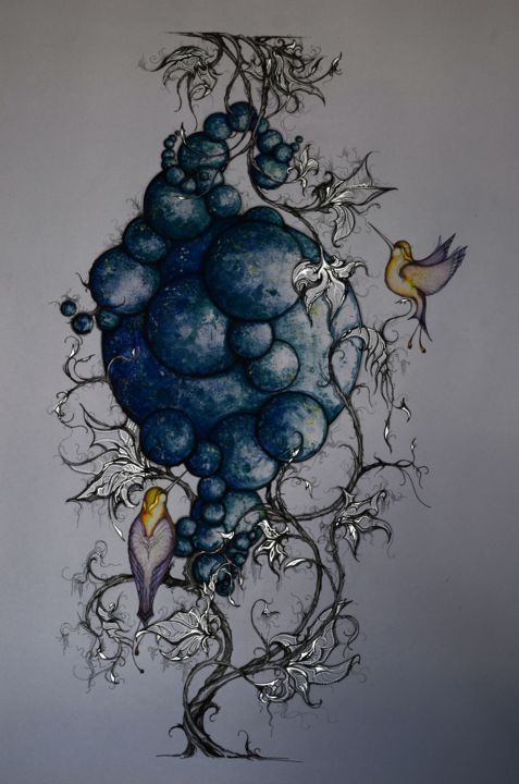 Рисунок под названием "hummingbird" - Nino Beqauri, Подлинное произведение искусства, Шариковая ручка