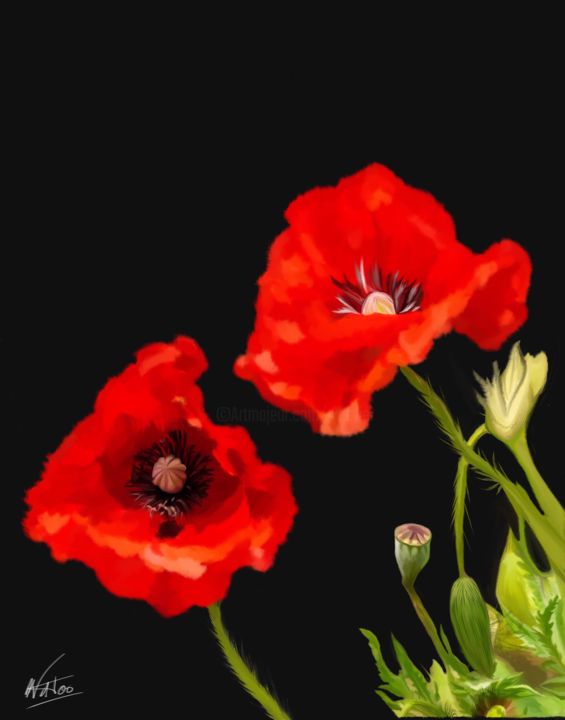 Arts numériques intitulée "Coquelicot" par Natoo, Œuvre d'art originale, Peinture numérique