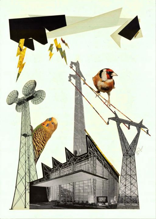 Collages getiteld "Uccelli#4" door Nicola Paglia, Origineel Kunstwerk