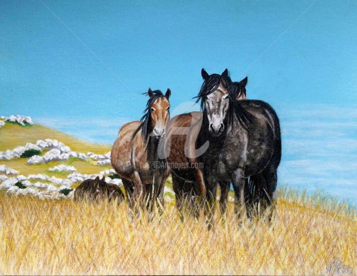 Peinture intitulée "Wild horses" par Nedzad Jandric, Œuvre d'art originale, Acrylique