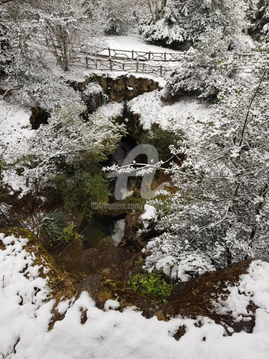 Fotografia zatytułowany „couleurs d’ hiver” autorstwa Nelly Coudoux, Oryginalna praca