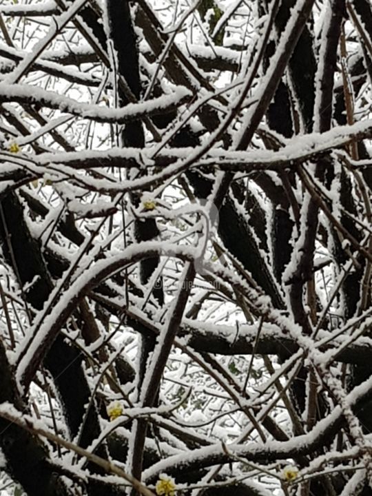 Photographie intitulée "neige1" par Nelly Coudoux, Œuvre d'art originale