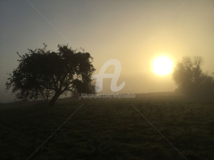 Photography titled "petit matin" by Nelly Coudoux, Original Artwork