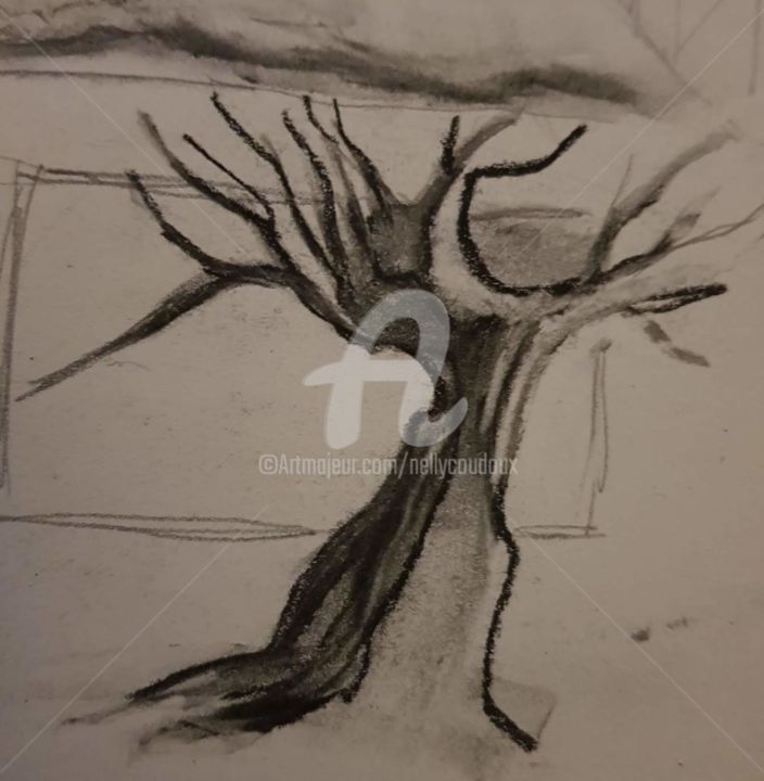 Drawing titled "l'arbre" by Nelly Coudoux, Original Artwork, Charcoal