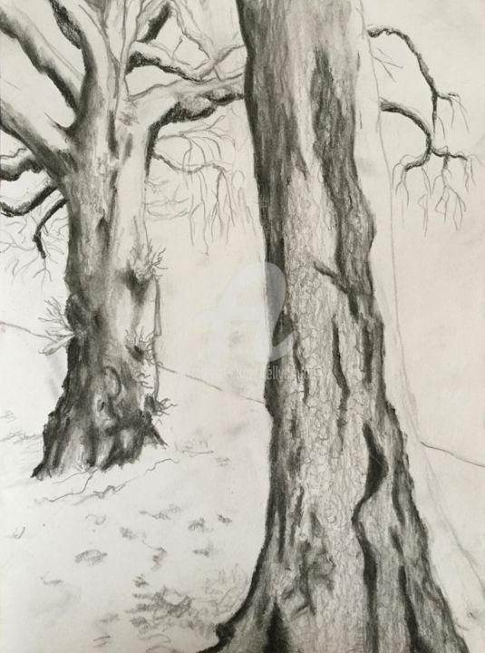 Rysunek zatytułowany „neige” autorstwa Nelly Coudoux, Oryginalna praca, Węgiel drzewny