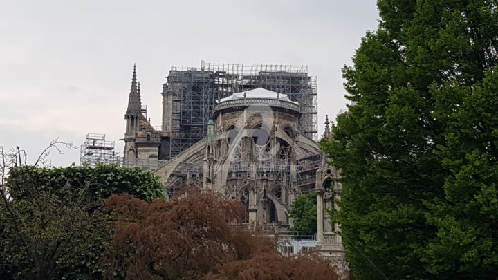 Photography titled "Notre Dame" by Nelly Coudoux, Original Artwork