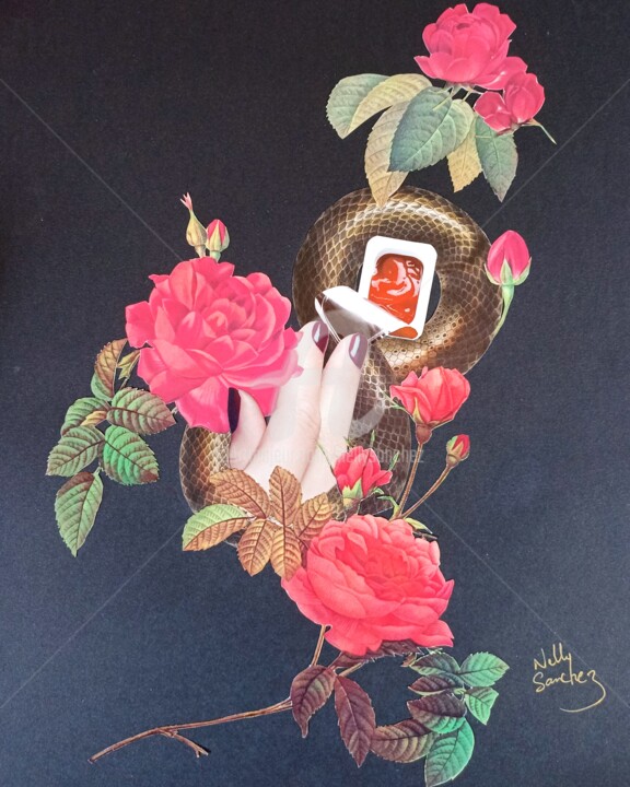 Collages intitolato "Snake and ketchup" da Nelly Sanchez, Opera d'arte originale, Collages