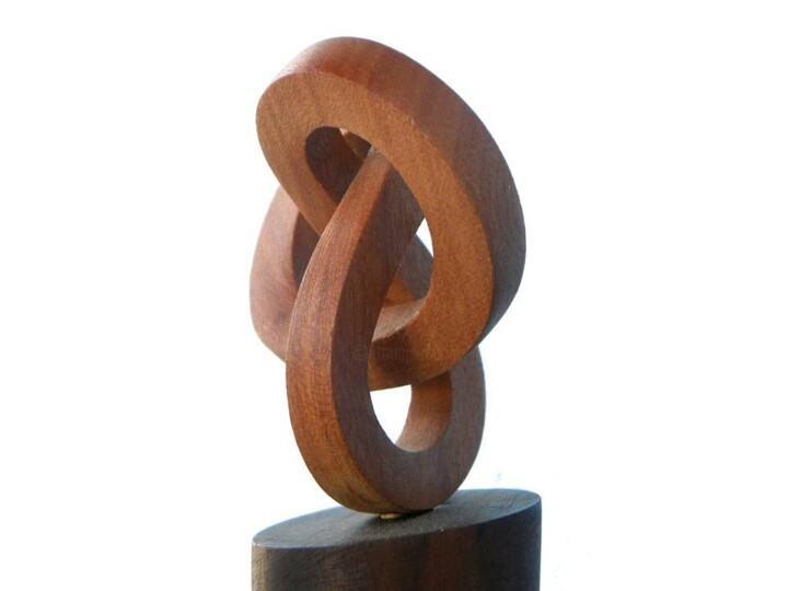 Sculpture titled "O Nó Boreal" by Nelson Moratto, Original Artwork, Wood