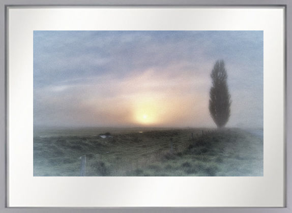 Photographie intitulée "Lone Tree at Dawn" par Declan O'Neill, Œuvre d'art originale