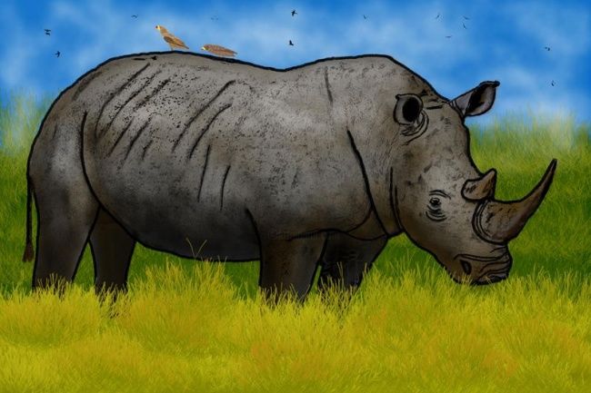 Arts numériques intitulée "Rinoceronte" par Nelson Souto, Œuvre d'art originale, Peinture numérique