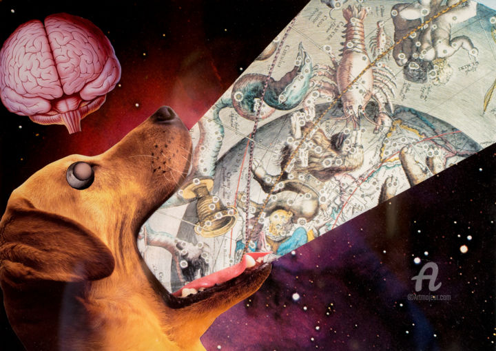 "The dog knows" başlıklı Kolaj Dysfunctional Brain Works tarafından, Orijinal sanat, Kâğıt